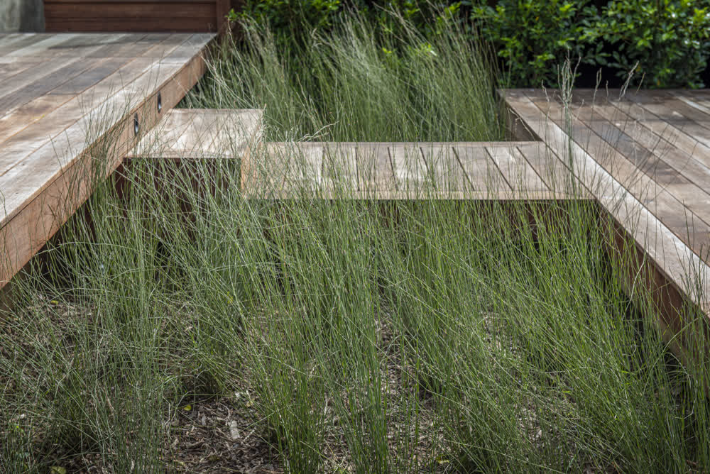 Stained decks with path through bark mulch planting